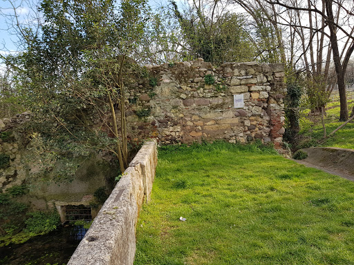 Parco Della Fonte - Thumbnail