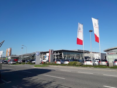 car-dealer