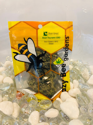Photo of The Novel Tree Medical | Bellevue Medical Marijuana