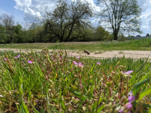 Binnendüne von Dudenhofen - Thumbnail
