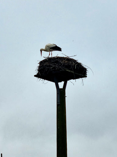 Haarentfernung-Heide - Thumbnail
