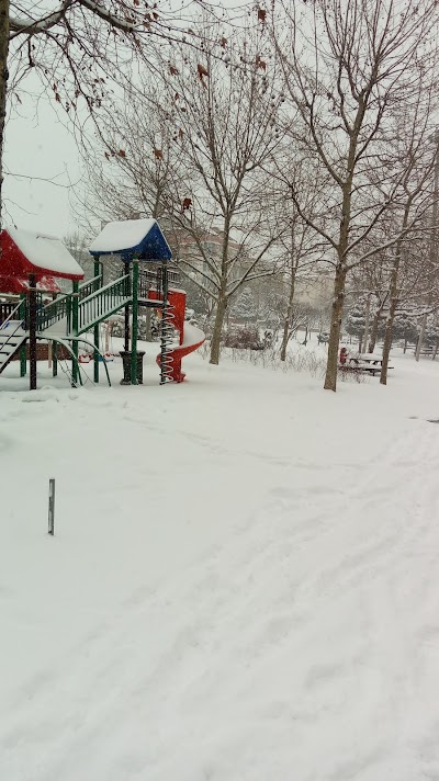 Photos of Kocasinan Parkı