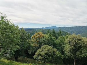Photo n°4 de SARL Lou Treillat à Sainte-Croix-Vallée-Française (Terrain de camping)