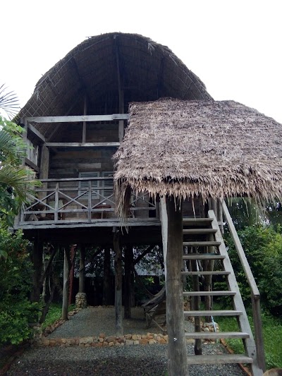 Photos of Tree Top Bungalows