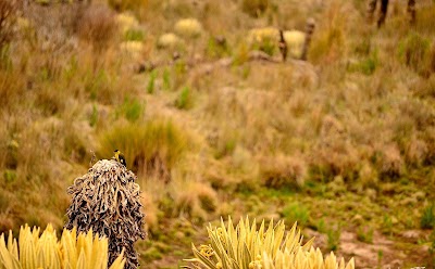 Photos of Lake Ot&uacute;n