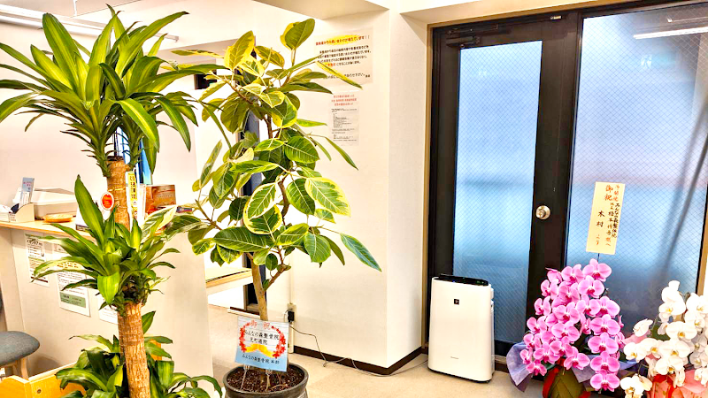 みんなの森整骨院 元町通院