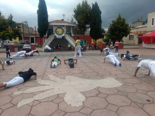 Capoeira Senzala Mexico - Thumbnail