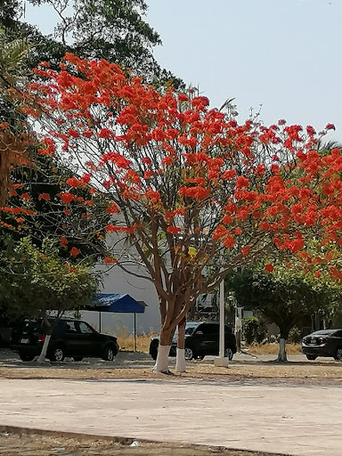 grrbienesraices Gallery - Mexico