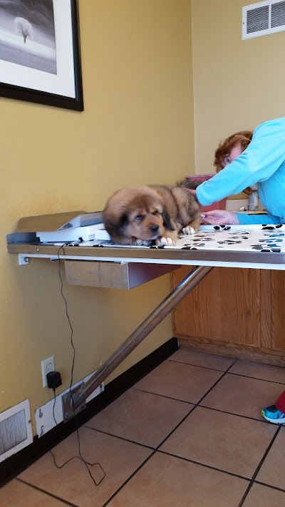 Klamath Animal Clinic