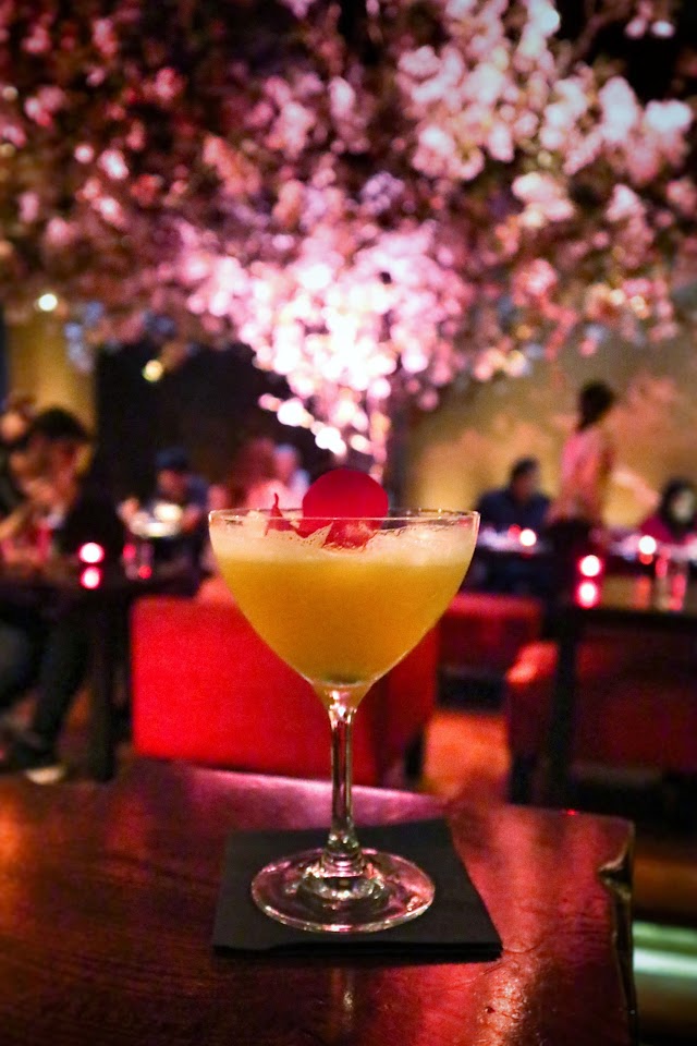 Shochu Lounge