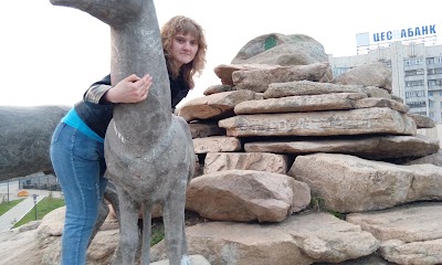 Photos of Reindeer Park