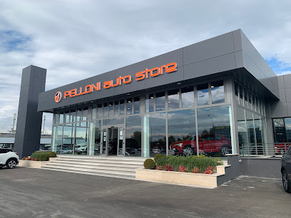 Pelloni Auto Store - Tiger, EVO, Centro Usato e Noleggio
