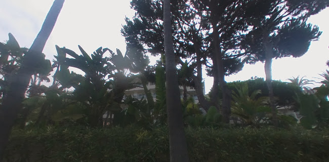 Ria Park Hotel & Spa - Spa
