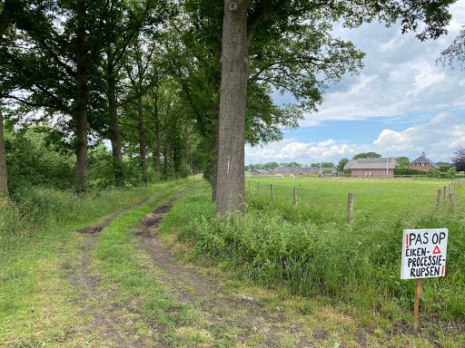 Hondencentrum Bijndelsveld - Thumbnail