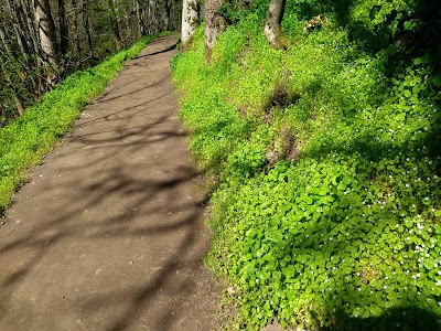 Indian Creek Trail - High School North Trailhead