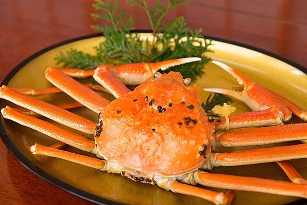 魚屋の喰い処 まつ田