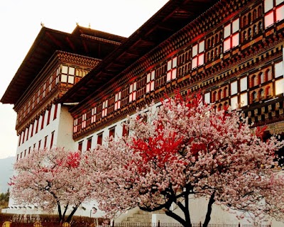 Photos of Bhutan Tourism