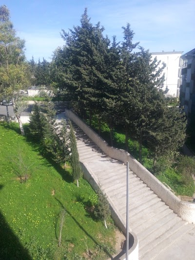 Photos of Cite Djillali El Yabes