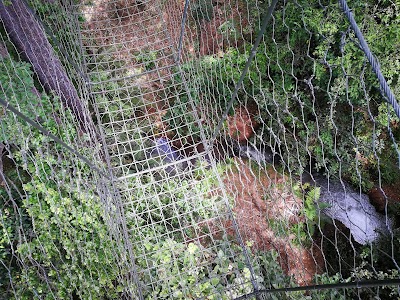 Photos of Ngare Ndare