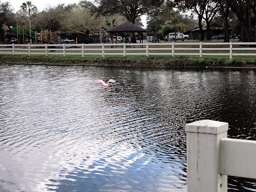 Norma Lloyd Park - Thumbnail