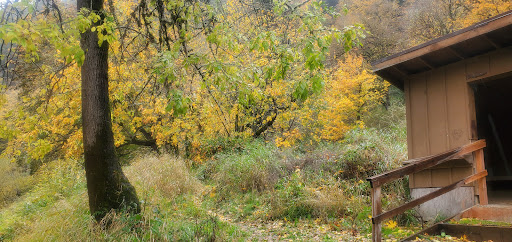Mike Bauer Wayside - Visual