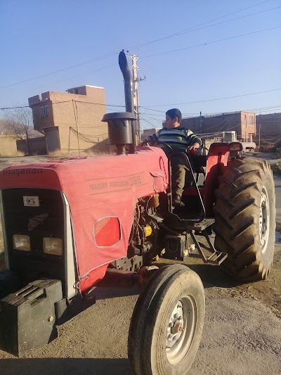 Photos of تالار عروسک