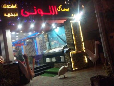 Photos of Saftey Cam " سيفتى كام