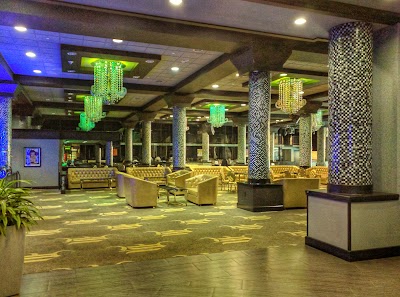 Photos of Wyndham Garden Dallas North