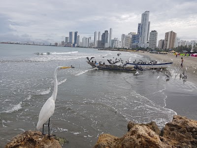 Photos of BEACHES LAGUITO