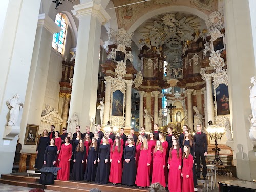 Vilniaus Šv. Jono Krikštytojo ir Šv. Jono apaštalo ir evangelisto bažnyčia