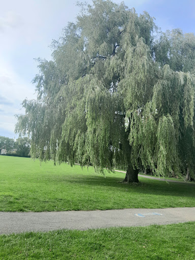 Alfred Rose Memorial Park - Thumbnail