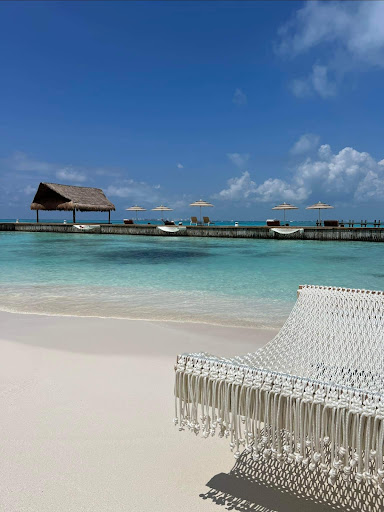 Cruise Planners - Great Vacations Travel - Thumbnail
