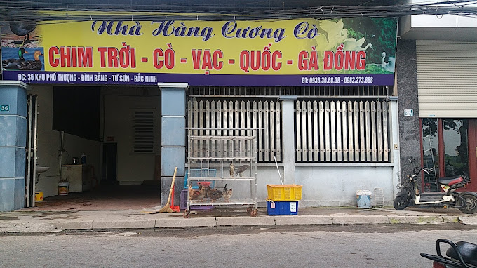 Nhà Hàng Chim Trời Cương Cò – 36 Phố Thượng