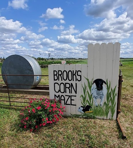 Brooks Corn Maze - Visual