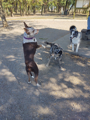 Scraps Dog Park Gallery - United States
