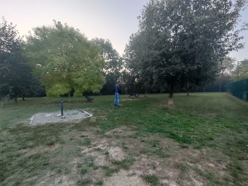 Area cani Oscar - parco degli Artisti - Thumbnail