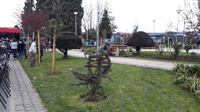 Photos of Municipality of Lanco
