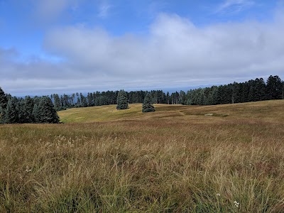 Marys Peak Botanical Special Interest Area