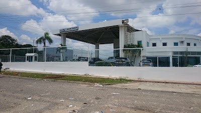 Photos of Janna Motor's