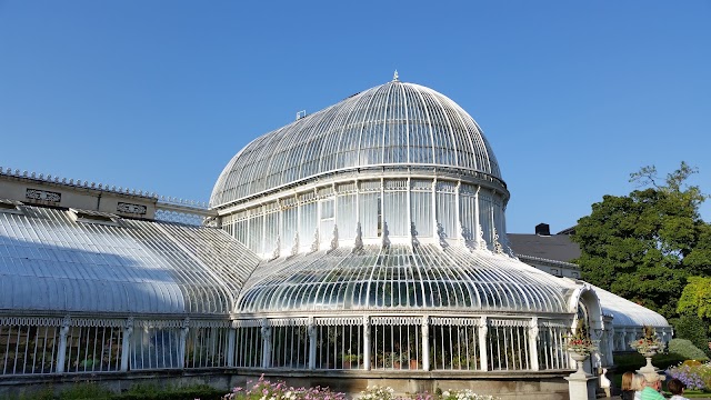 The Palm House
