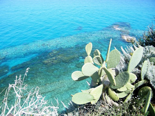 Sanctuary of Santa Maria Island