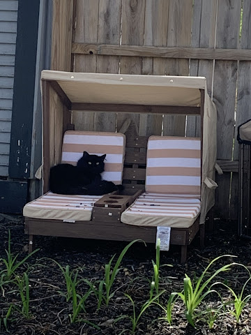 Rogers House Inn Bed & Breakfast by null