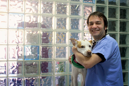 Vovet Serveis Veterinaris