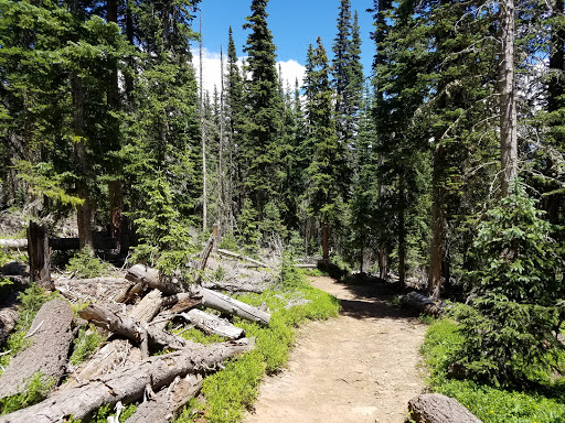 Pawnee Campground/Long Lake Trailhead - Thumbnail