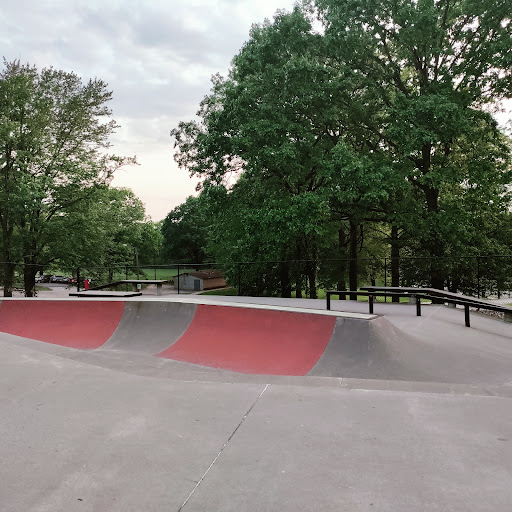 Pitcher Park Memorial Skatepark Gallery - United States