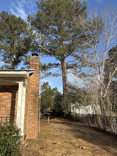 Jackson's Tree Care