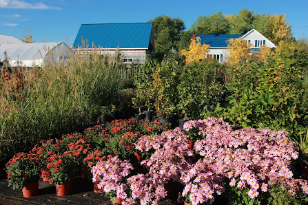 Fleurs Légumes et cie 3081 Rang du Ruisseau, Sainte-Élisabeth, QC J0K 2J0, Canada