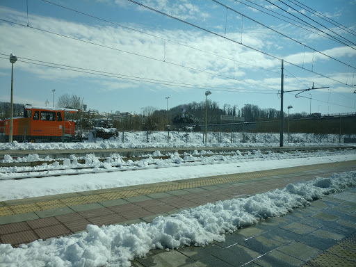 Zagarolo - Visual