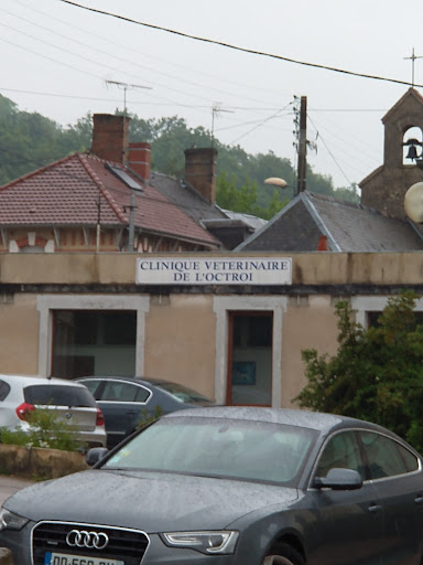 Clinique Vétérinaire de l'Octroi - Thumbnail