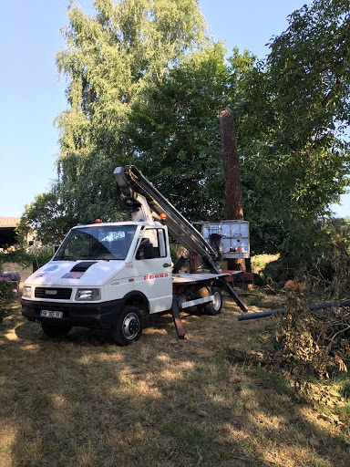Photo de Maille Andy à Taponnat (16110)